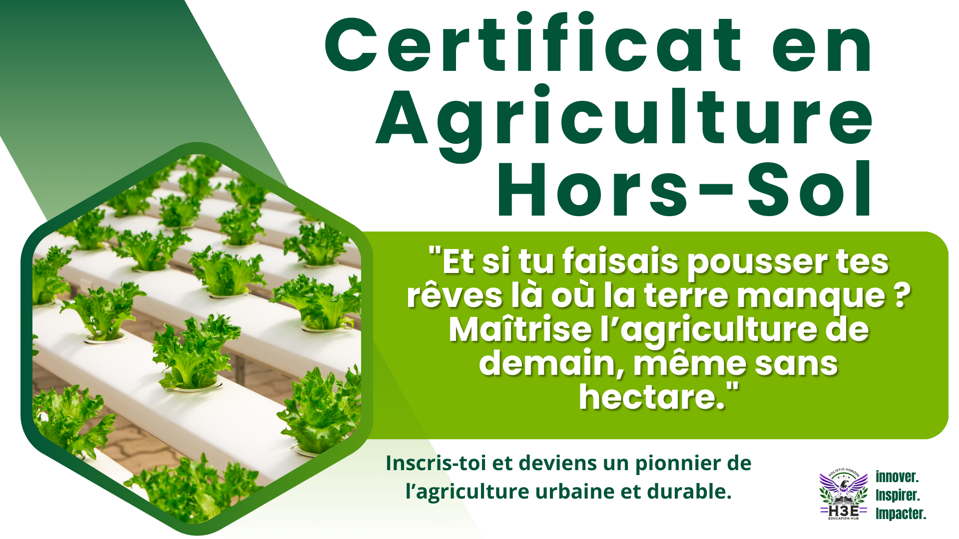 Agriculture Hors Sol
